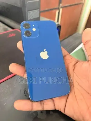 Apple iPhone 12 mini (Used)