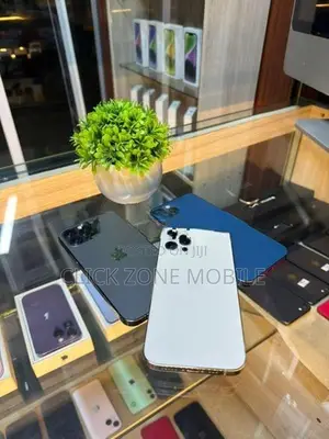 Apple iPhone 12 Pro 256GB (Used)