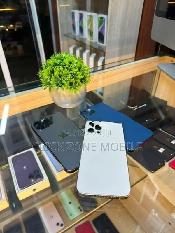 Apple iPhone 12 Pro 256GB (Used)