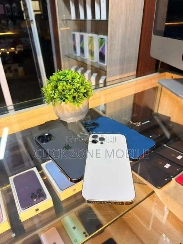 Apple iPhone 12 Pro 256GB (Used)