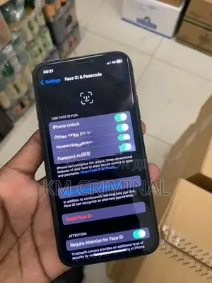 Apple iPhone X (Used)