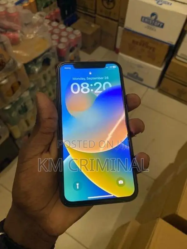 Apple iPhone X (Used)