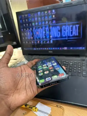 Apple iPhone 12 Pro 256GB (Used)