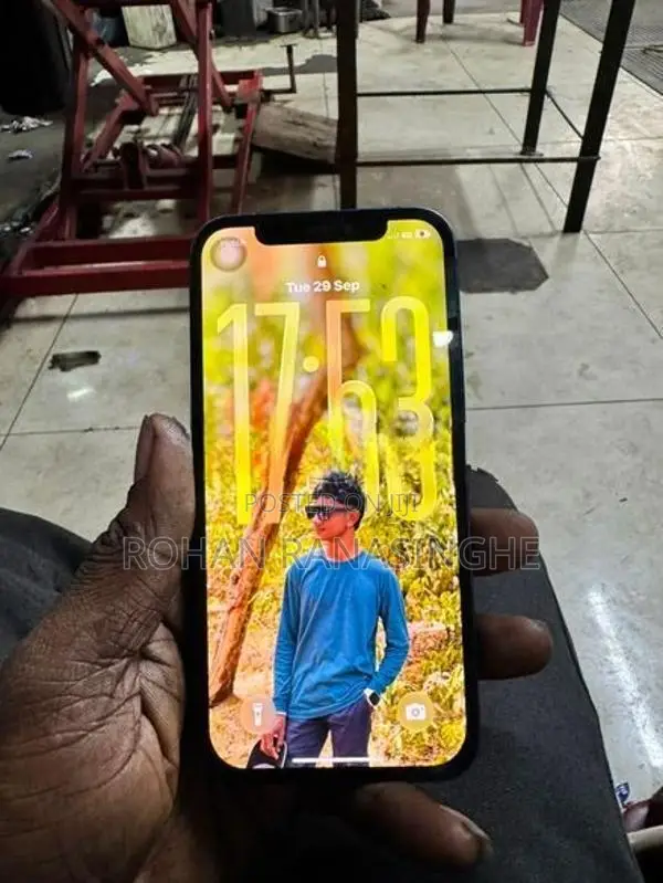 Apple iPhone 12 (Used)