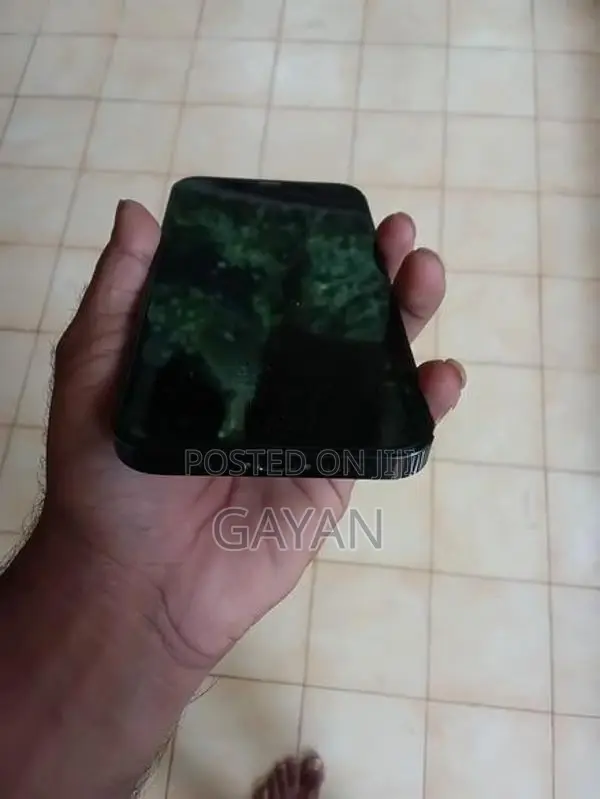 Apple iPhone 12 Pro (Used)