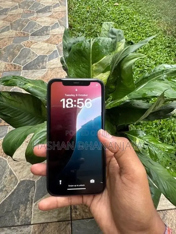 Apple iPhone 11 (Used)