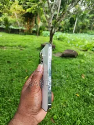 Apple iPhone 14 Pro (Used)