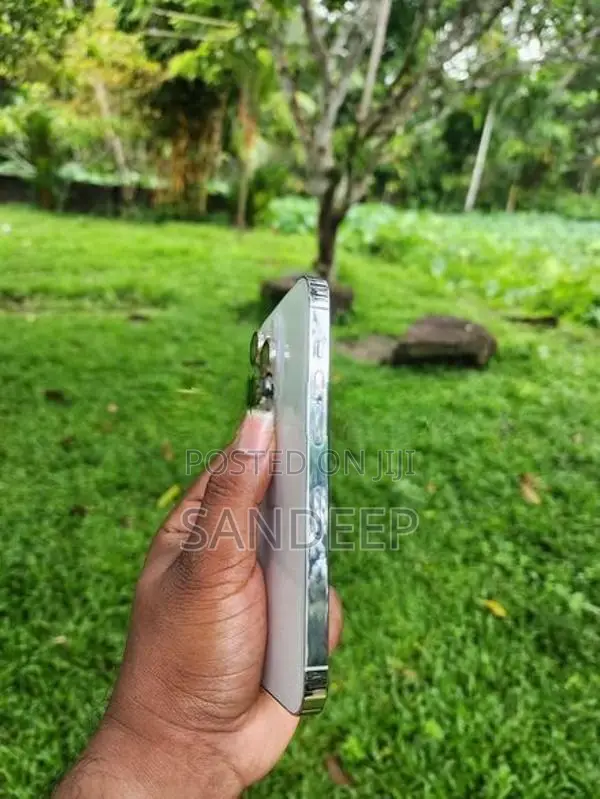 Apple iPhone 14 Pro (Used)