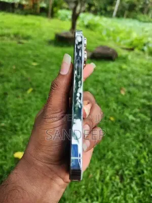 Apple iPhone 14 Pro (Used)