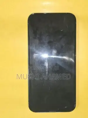 Apple iPhone 13 Pro Max 256GB (Used)