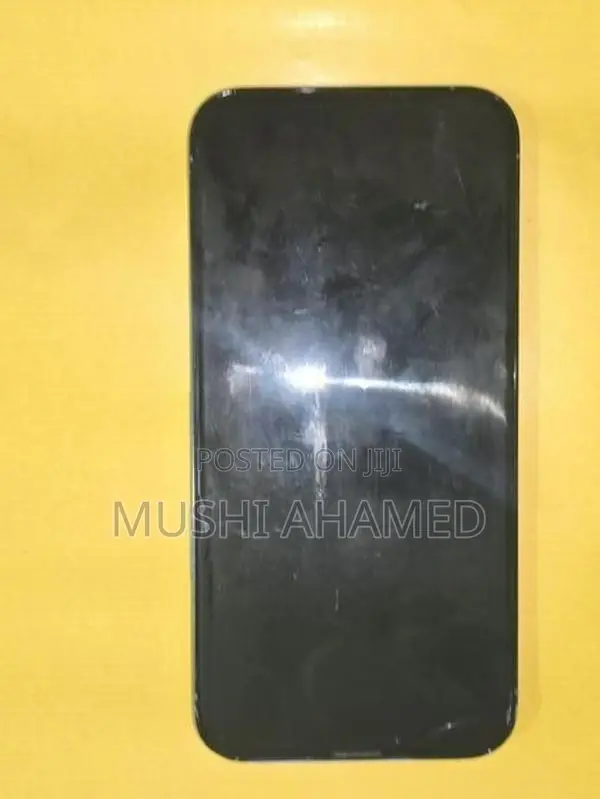 Apple iPhone 13 Pro Max 256GB (Used)
