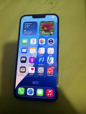 Apple iPhone 13 Pro Max 256GB (Used)