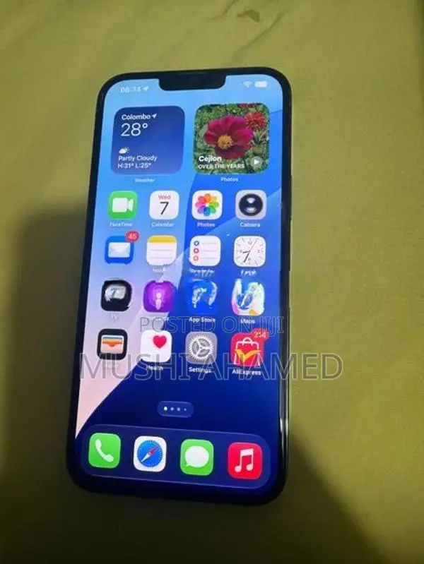Apple iPhone 13 Pro Max 256GB (Used)
