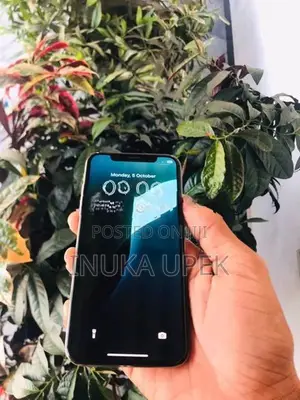 Apple iPhone XS (Used)
