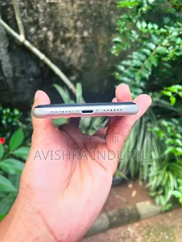 Apple iPhone 11 (Used)