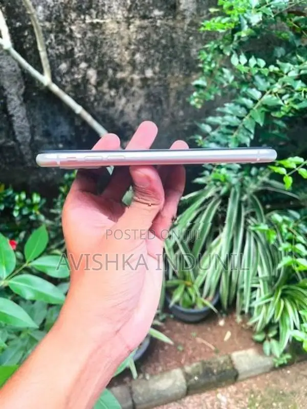 Apple iPhone 11 (Used)