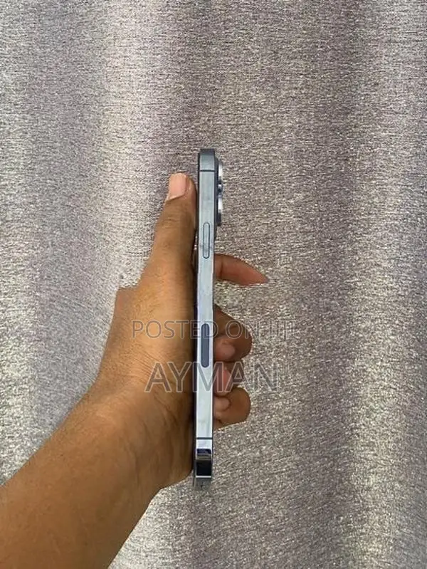 Apple iPhone 13 Pro Max (Used)