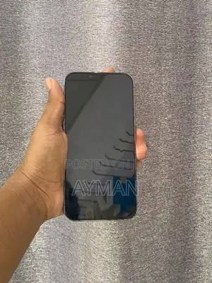 Apple iPhone 13 Pro Max (Used)