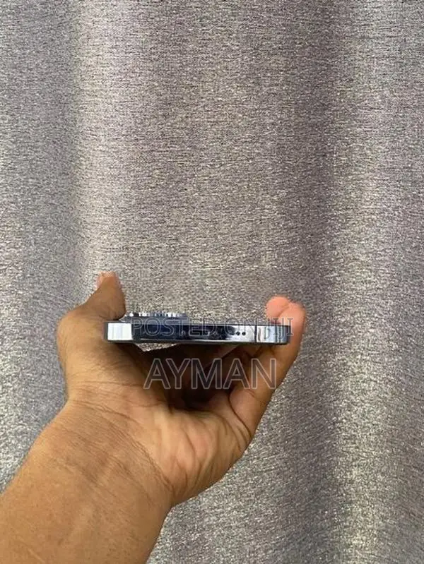Apple iPhone 13 Pro Max (Used)
