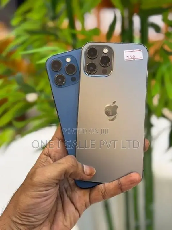 Apple iPhone 12 Pro (Used)