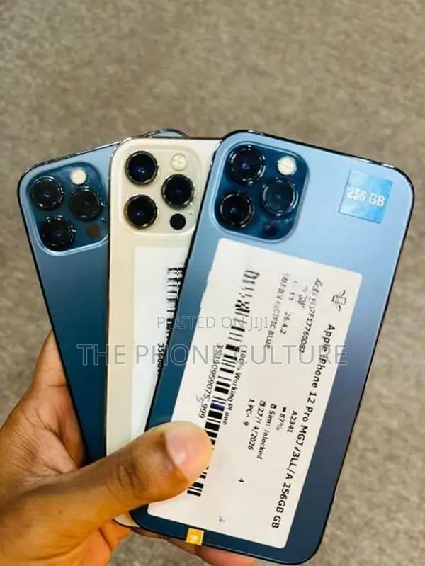 Apple iPhone 12 Pro 256GB (Used)