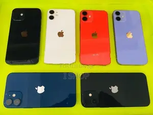 Apple iPhone 12 (Used)