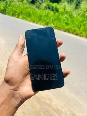 Apple iPhone XS Max (Used)