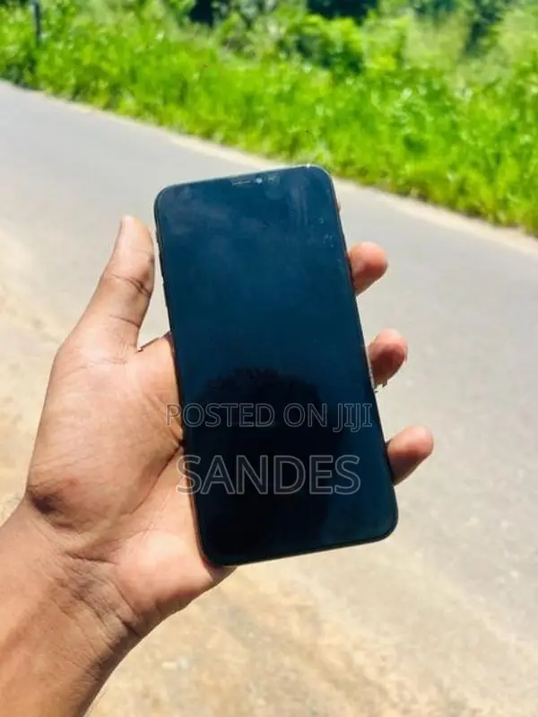 Apple iPhone XS Max (Used)