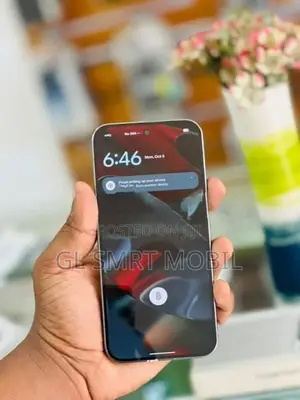 Google Pixel 9 Pro XL (Used)