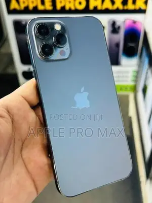Apple iPhone 12 Pro Max (Used)