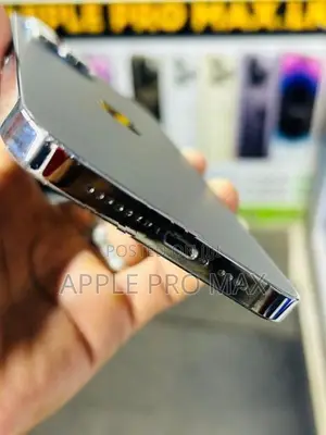 Apple iPhone 12 Pro Max (Used)