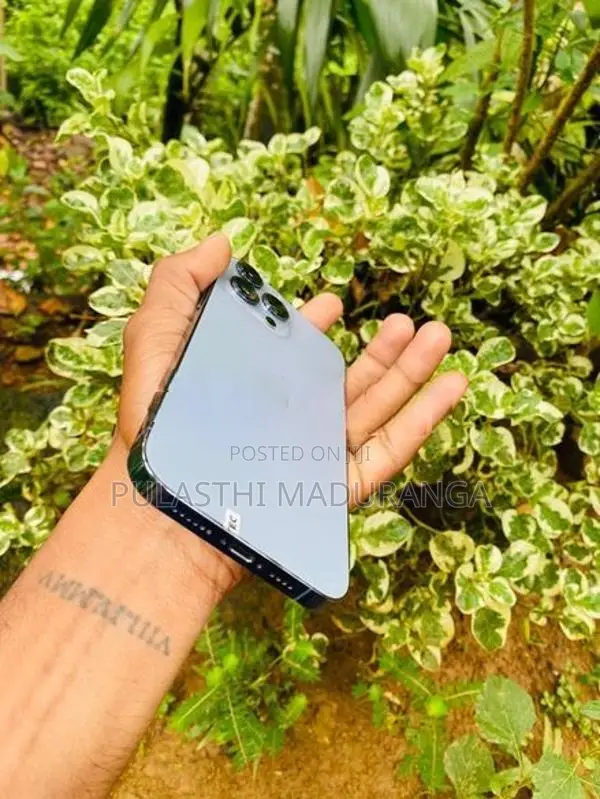 Apple iPhone 13 Pro Max (Used)