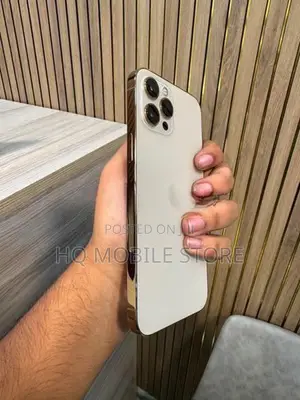Apple iPhone 12 Pro Max (Used)