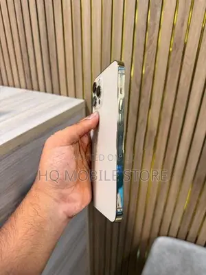 Apple iPhone 12 Pro Max (Used)