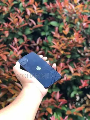 Apple iPhone 12 (Used)
