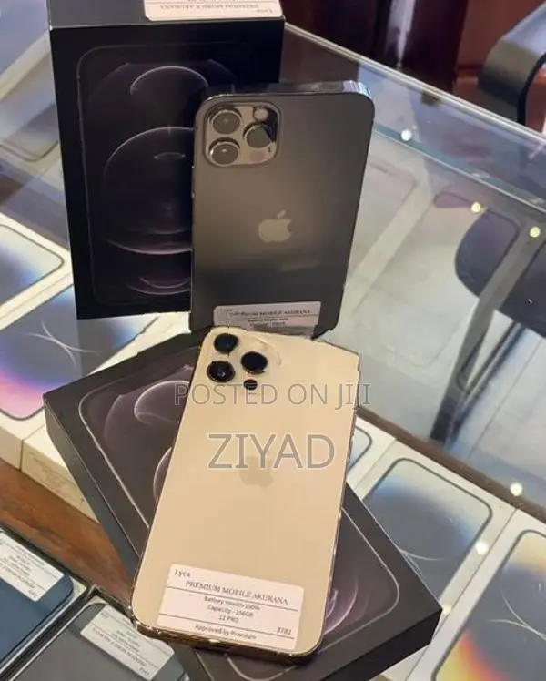 Apple iPhone 12 Pro 256GB (Used)