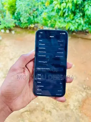 Apple iPhone 12 (Used)