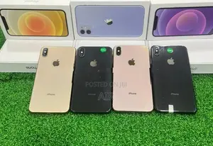 Apple iPhone XS Max 256GB (Used)