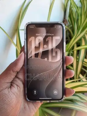 Apple iPhone 11 Pro (Used)