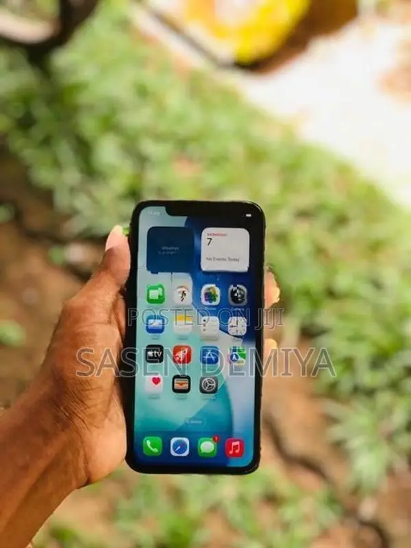 Apple iPhone 11 (Used)