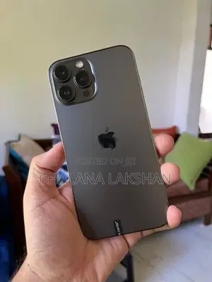 Apple iPhone 13 Pro Max 256GB (Used)
