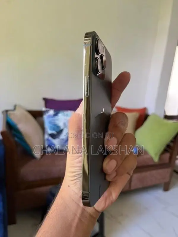Apple iPhone 13 Pro Max 256GB (Used)