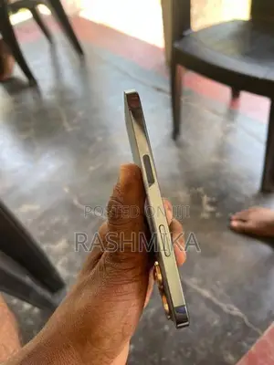 Apple iPhone 13 Pro (Used)