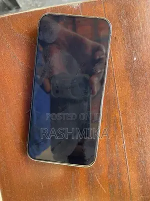 Apple iPhone 13 Pro (Used)