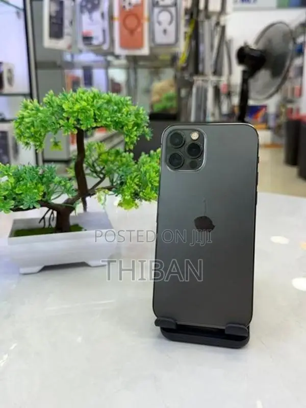 Apple iPhone 12 Pro (Used)