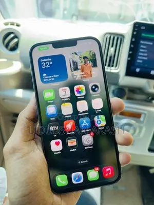 Apple iPhone 13 Pro Max (Used)