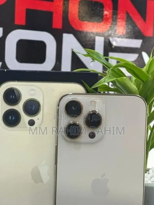 Apple iPhone 13 Pro Max Edition (Used)