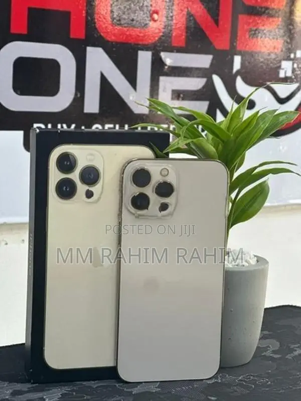 Apple iPhone 13 Pro Max Edition (Used)