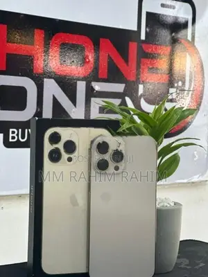 Apple iPhone 13 Pro Max Edition (Used)