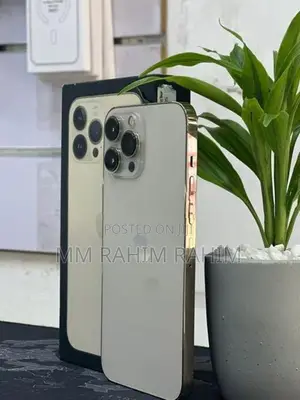 Apple iPhone 13 Pro Max Edition (Used)